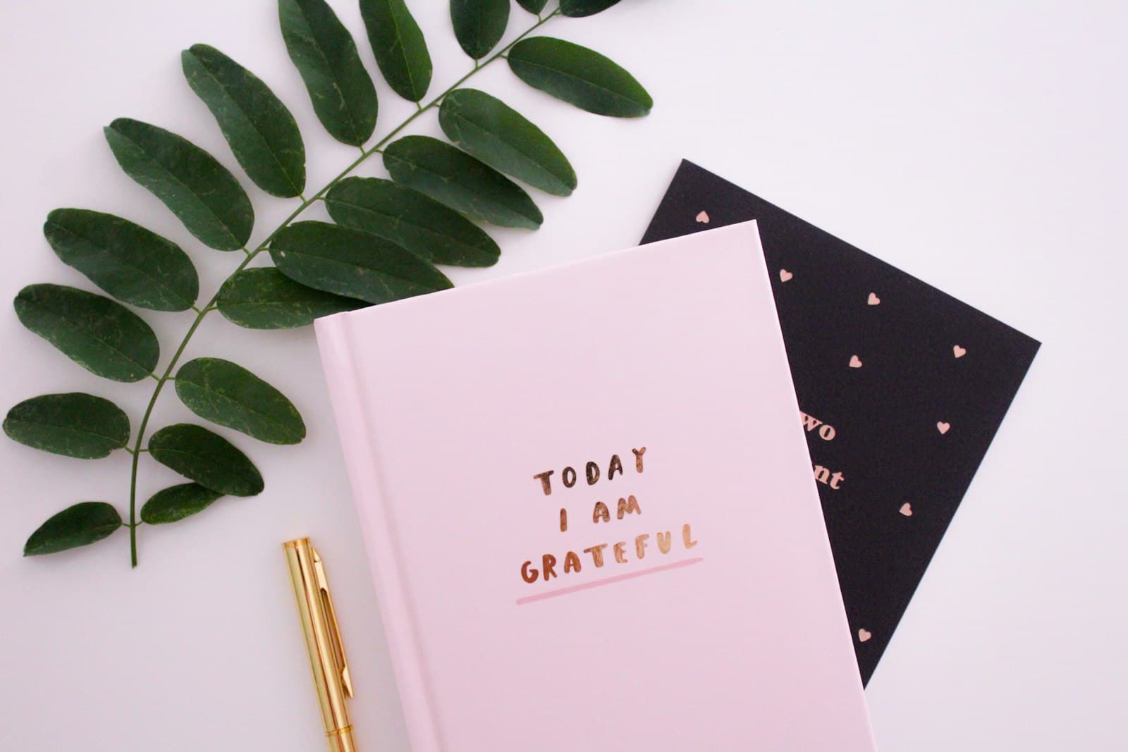 Gratitude Journal on iPhone Lock Screen: A One-Sentence Habit